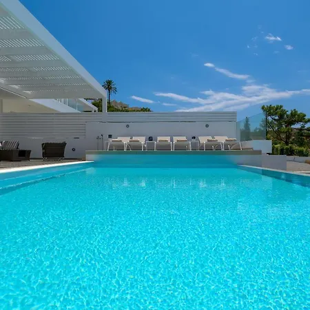 Mimosa In Pefkos * Lindos (Rhodes)